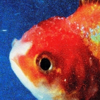 Vince Staples - Big Fish Theory (Album) Lyrics & Album Tracklist