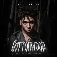 Cottonwood (EP) - NLE Choppa