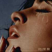 Camila Cabello - Cry for Me Lyrics 