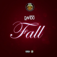 Davido - Fall Lyrics 
