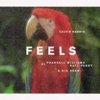 Calvin Harris - Feels Lyrics  Ft. Pharrell Williams, Katy Perry & Big Sean