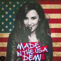 Demi Lovato - Made in the USA Lyrics 