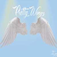Pretty Wings - IV Jay