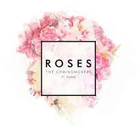 The Chainsmokers - Roses Lyrics 