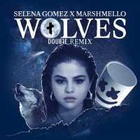 Selena Gomez & Marshmello - Wolves Lyrics 