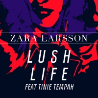 Zara Larsson - Lush Life (Dancehall Remix) Lyrics 